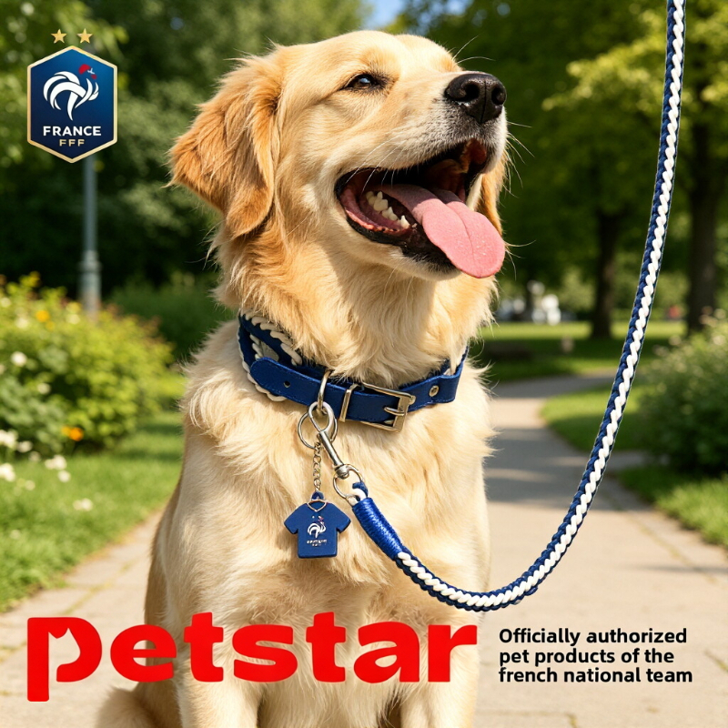 Pet Supplies Jersey - French Football Team Style Pet Collar