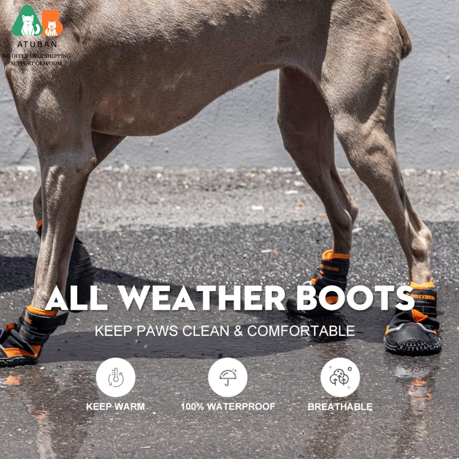 ATUBAN Dog Shoes for Dogs,Wate - Dog Booties Paw Protector review and price