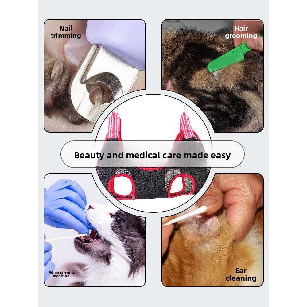  Nail Trimming Anti-Bite Fixed - Pet Supplies Nail Trim review and price