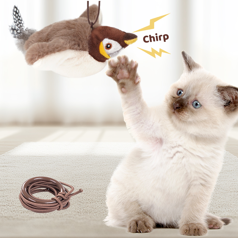 1PC Interactive Cat Toys Recha - Catnip Toys review and price