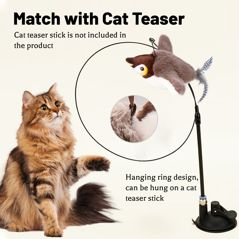 1PC Interactive Cat Toys Recha - Catnip Toys review and price