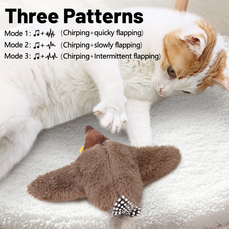 1PC Interactive Cat Toys Recha - Catnip Toys review and price