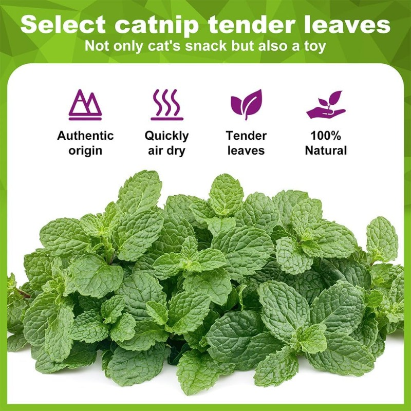 5/10/20Pcs Natural Catnip Ball - Catnip Toys review and price