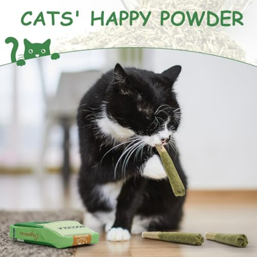 3 Pack Catnip Toys for Cats, F - Catnip Toys review and price
