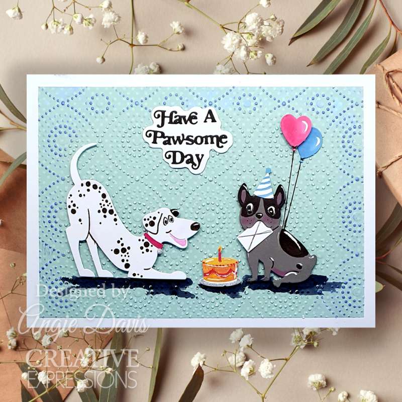 2024 Pet Tea Bag Collection Ne - Pet Supplies Gift Card review and price