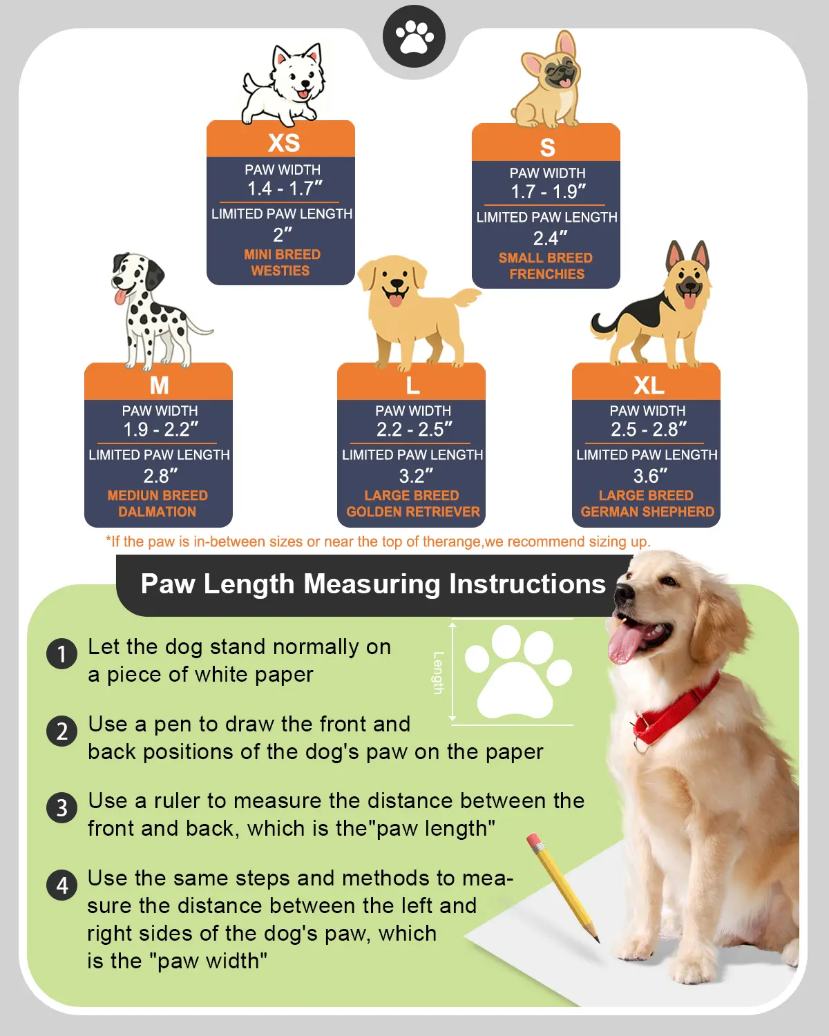 Dog Shoes for Hot Pavement - D - Dog Booties Paw Protector review and price