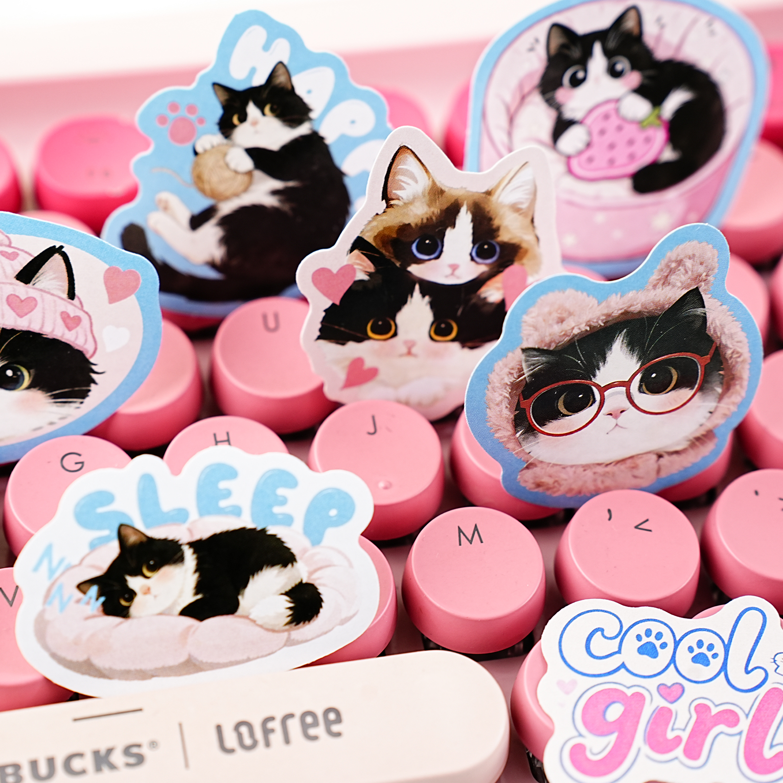 Etori Life Cute Pet Party Set  - Pet Supplies Gift Card review and price